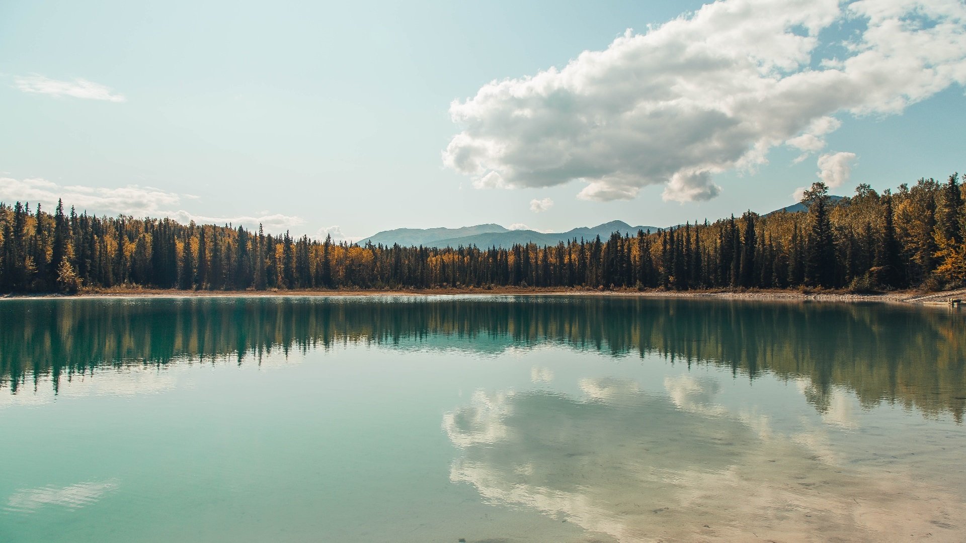 橄榄球与足球的平行叙事，当南非斩落巨人，斯通斯在德甲接管比赛