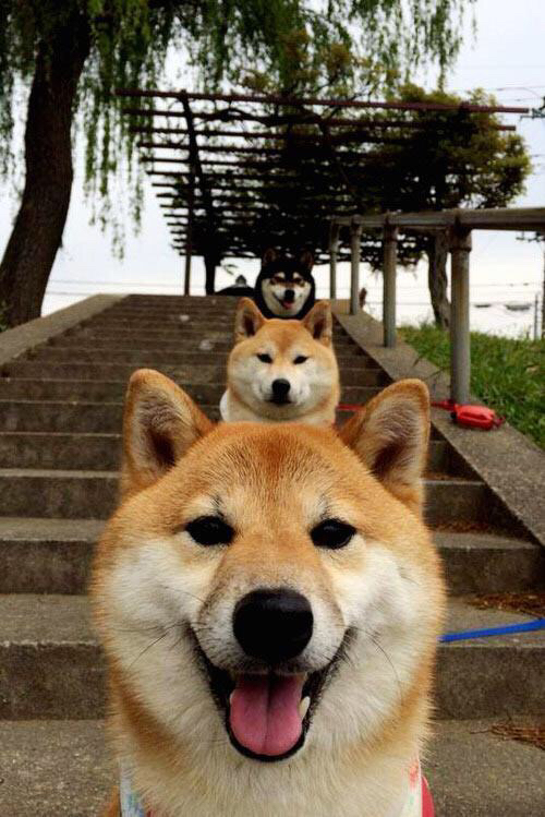 奇才完胜爵士，NBA季后赛焦点战的战术解析与荣耀时刻