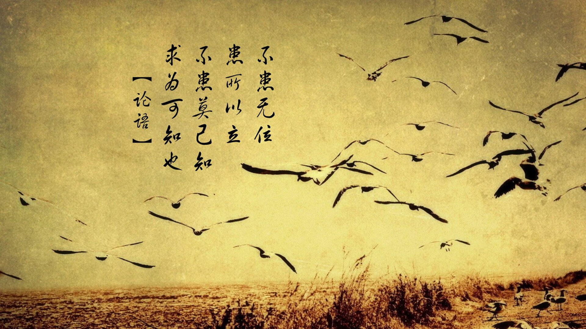 舞台越大，越疯狂，福登与里昂揭示的强者密码