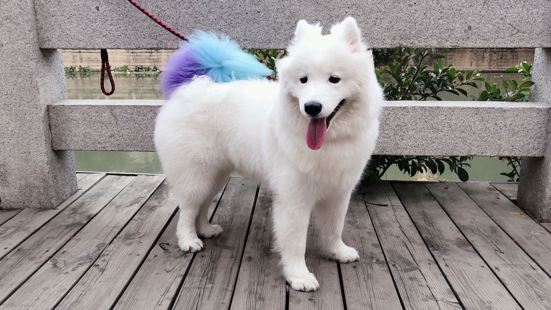 稳健对雷霆，关键在布克，马刺团队篮球的新篇章