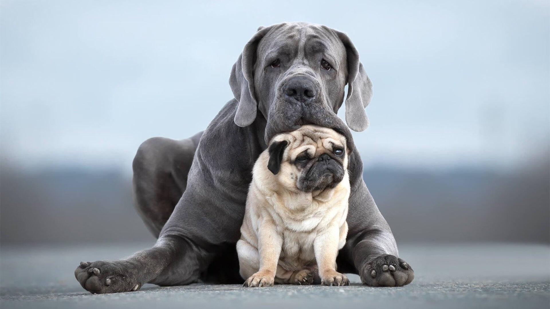 欧冠烽烟,当国王的防守绞索锁住76人的利刃