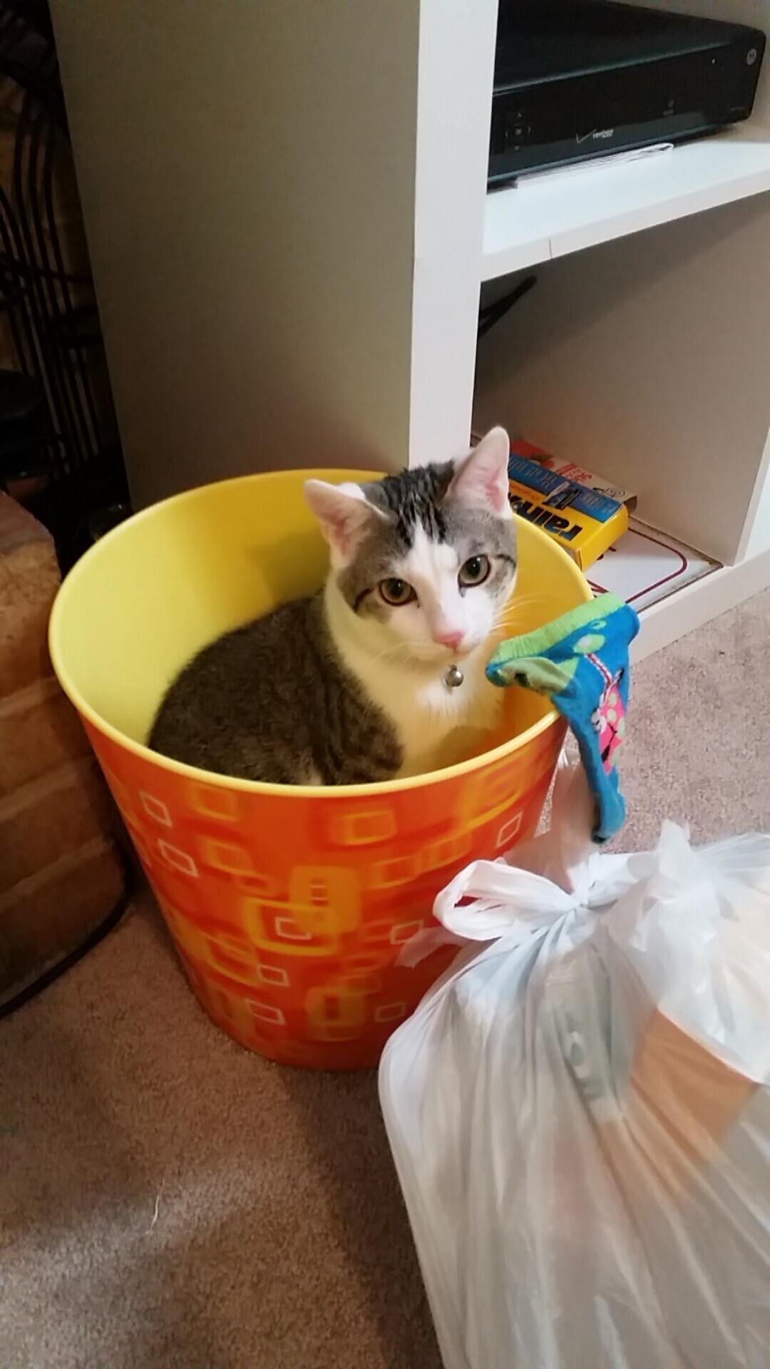 北欧风暴粉碎郁金香，当团队纪律碾碎天赋神话，巴尔韦德诠释何为稳定输出不掉线