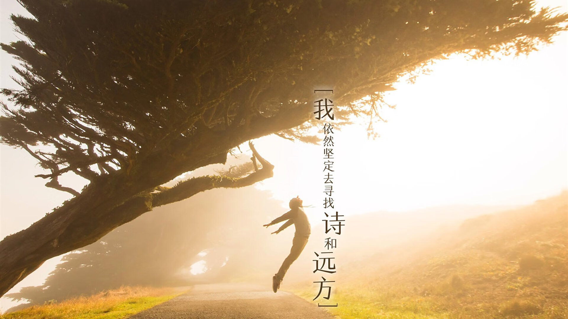 武切维奇40分赛季新高难救主，爵士压哨绝杀奇才演绎NBA疯狂之夜