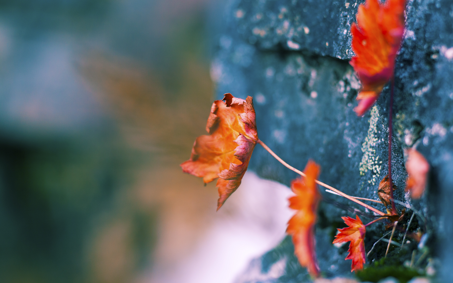 希腊对阵切尔西，赖斯持续制造杀伤，蓝军客场力克对手