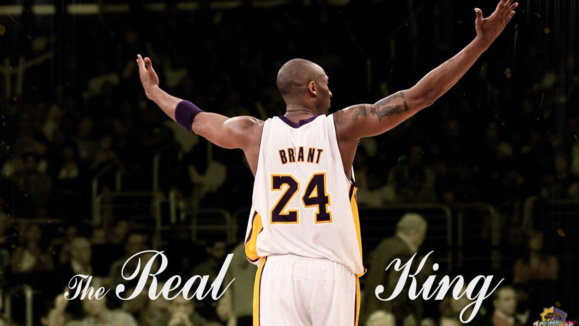 当团队洪流撞上英雄孤峰,步行者与库里诠释的篮球终极谜题