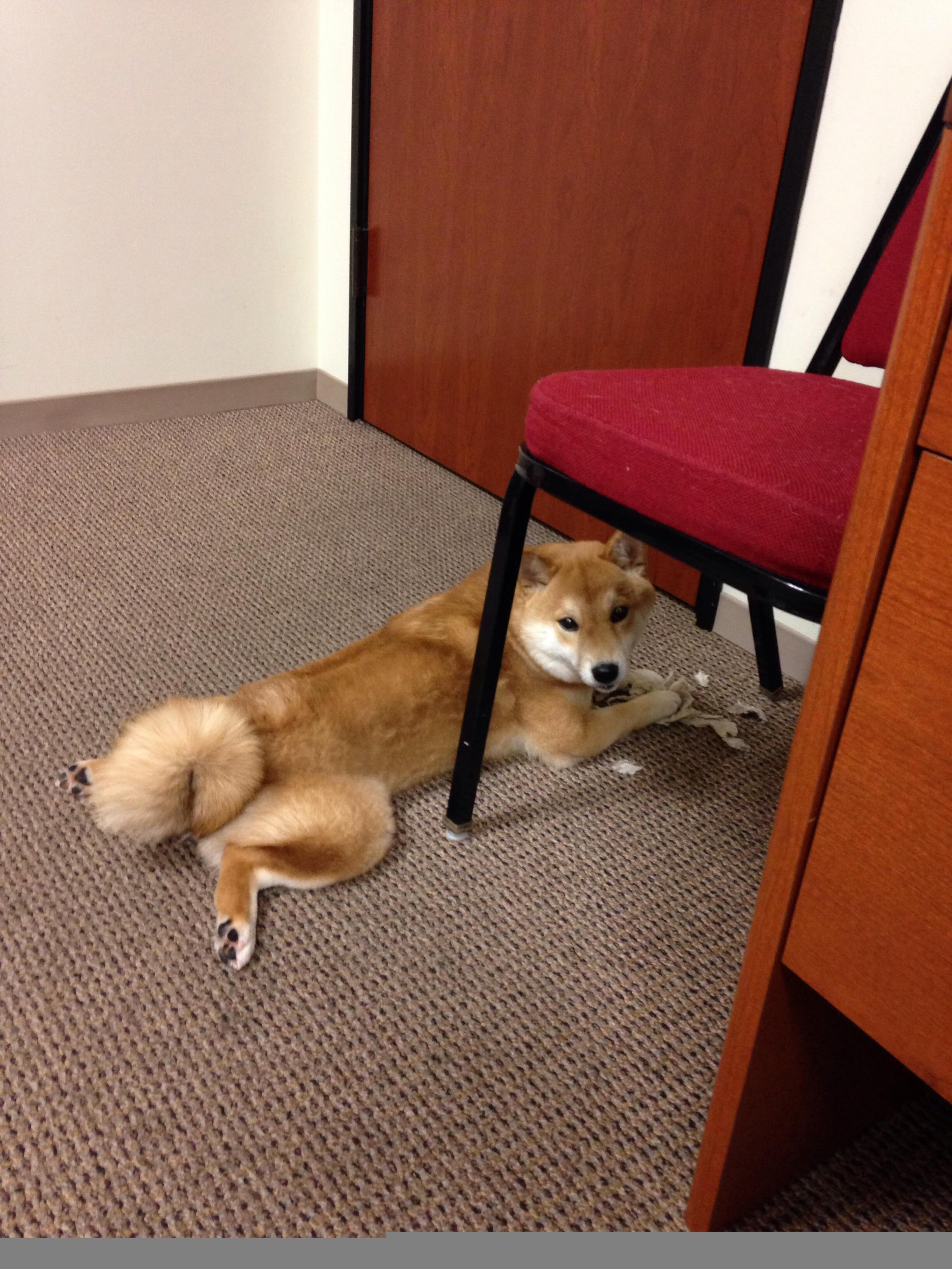 当塞内加尔击溃红魔,格列兹曼在奥运的黄昏中接管比赛,足球史诗的两种接管叙事